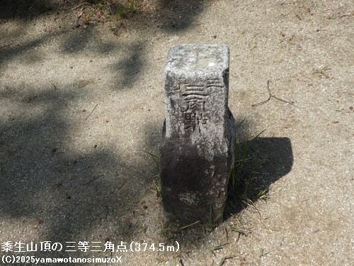 �o���R���̎O���O�p�_(374.5m)
