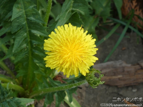 �j�z���^���|�|